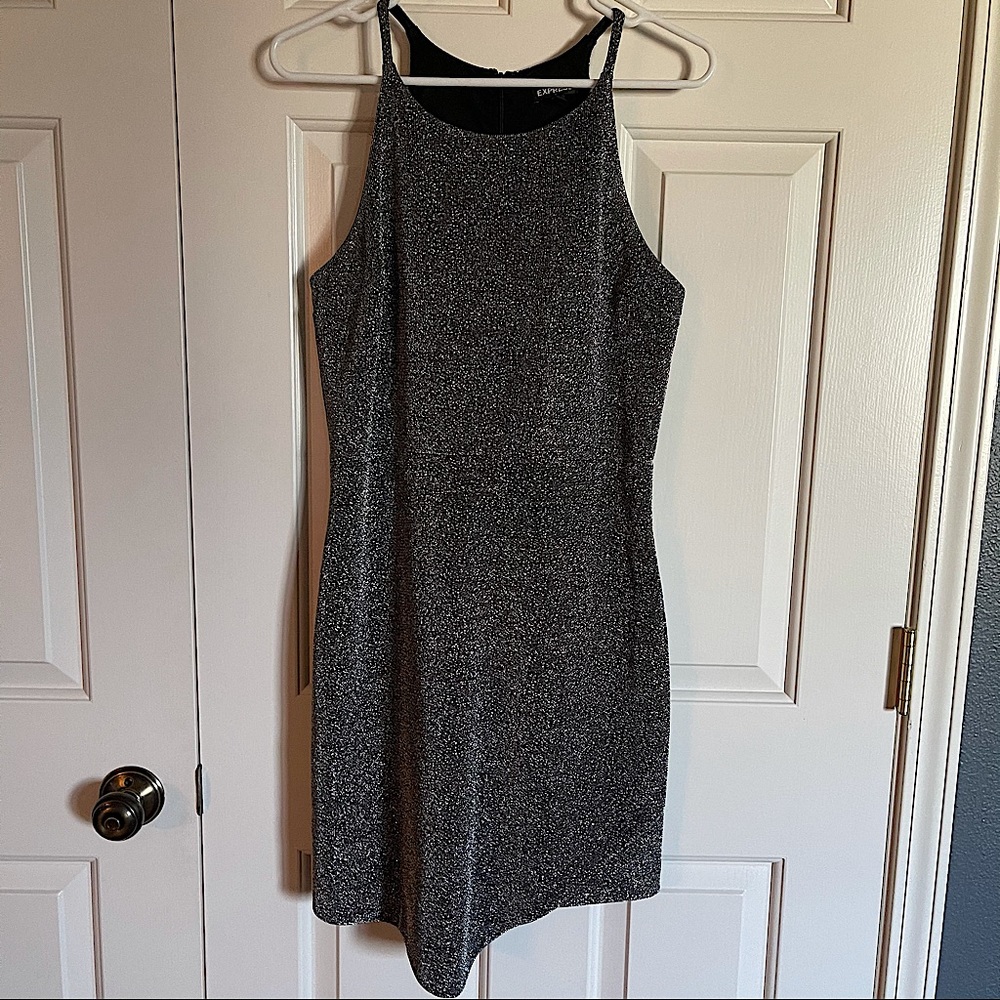 Express Silver Dress